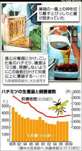 記事「ニホンミツバチの養蜂に挑む 「セイヨウ」大量死で脚光」より.jpg